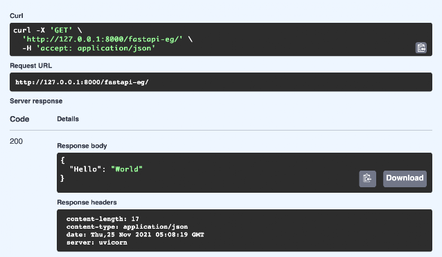 Root API run output on Swagger